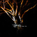 Unter Null- Moving on