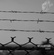 NeuroRythm- Dissent