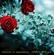Sara Noxx/Mark Benecke- Where the Wild Roses Grow