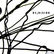 DE/VISION- Twisted Story